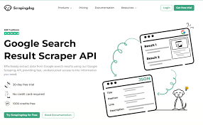 Best API Search Company’s Homepage