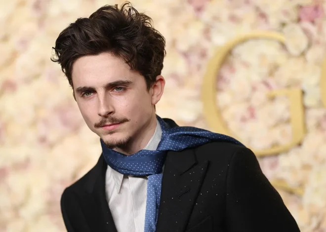 How Old is Timothee Chalamet All Info This Article